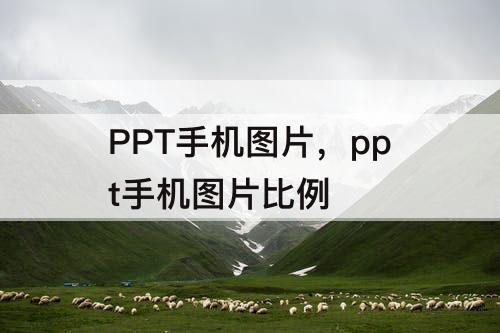 PPT手机图片，ppt手机图片比例