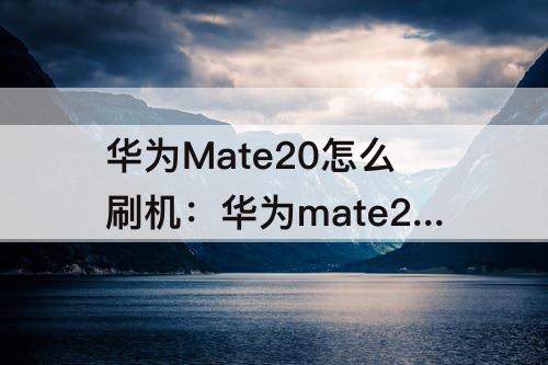 华为Mate20怎么刷机：华为mate20怎么刷机强行刷9008