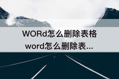 WORd怎么删除表格 word怎么删除表格的线但保留里面的字