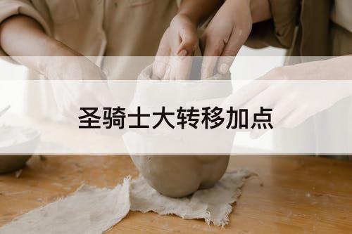 圣骑士大转移加点