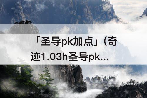 「圣导pk加点」(奇迹1.03h圣导pk加点)
