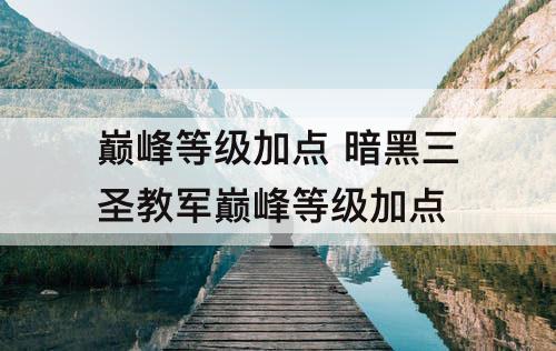 巅峰等级加点 暗黑三圣教军巅峰等级加点