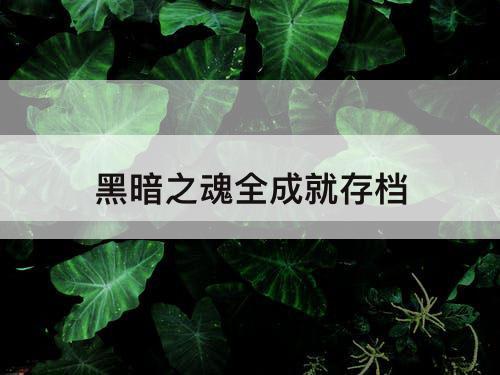 黑暗之魂全成就存档