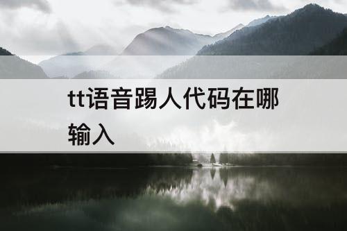 tt语音踢人代码在哪输入