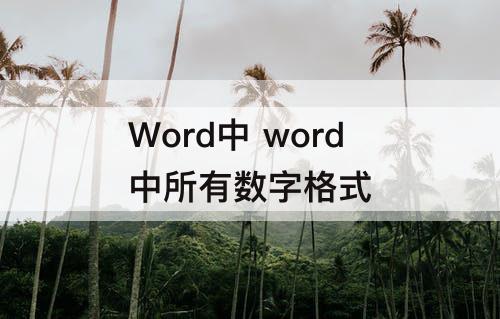Word中 word中所有数字格式