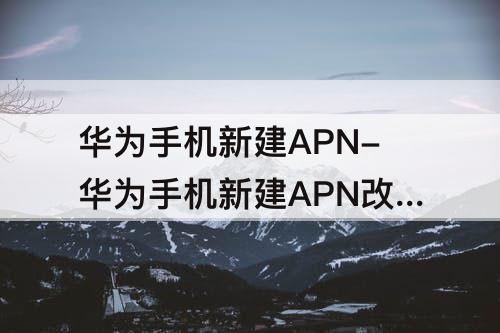 华为手机新建APN-华为手机新建APN改善网速