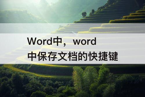 Word中，word中保存文档的快捷键