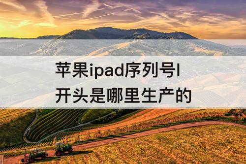 苹果ipad序列号l开头是哪里生产的