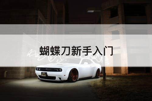 蝴蝶刀新手入门