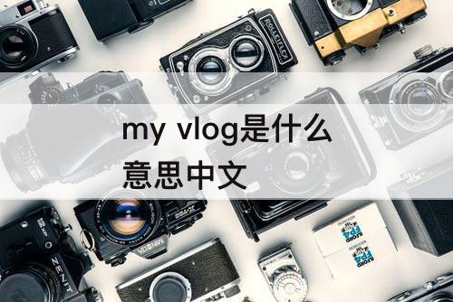 my vlog是什么意思中文