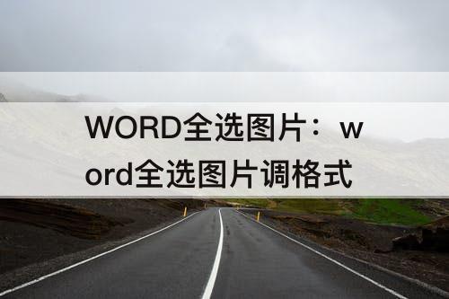 WORD全选图片：word全选图片调格式
