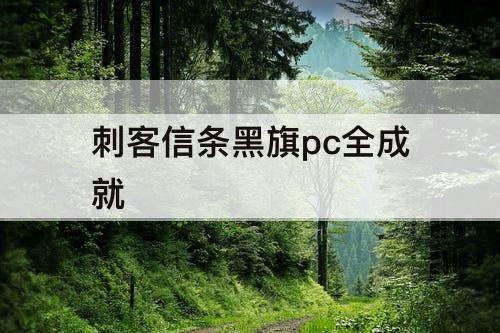 刺客信条黑旗pc全成就