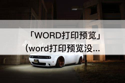 「WORD打印预览」(word打印预览没问题打印时打半页)