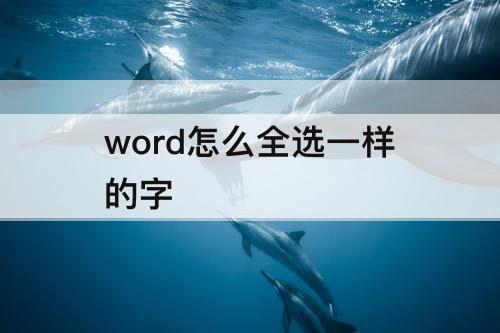 word怎么全选一样的字