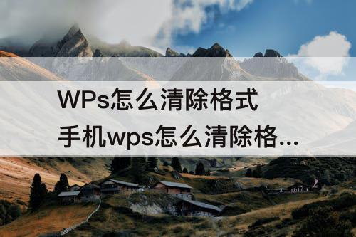 WPs怎么清除格式 手机wps怎么清除格式设置