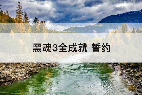 黑魂3全成就 誓约