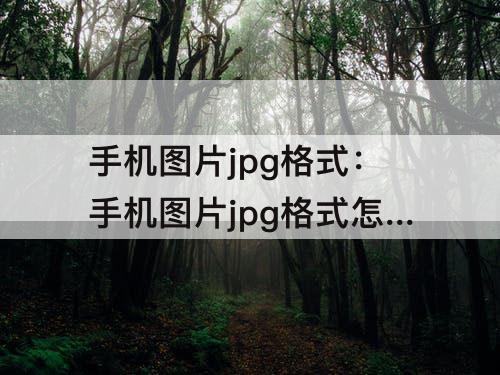 手机图片jpg格式：手机图片jpg格式怎么转换成png格式