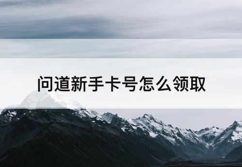 问道新手卡号怎么领取