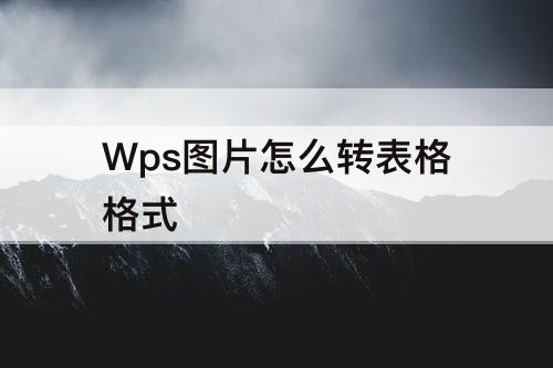 Wps图片怎么转表格格式