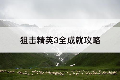 狙击精英3全成就攻略