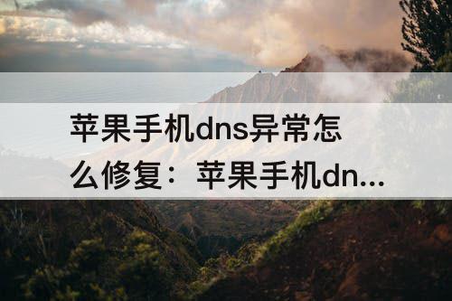 苹果手机dns异常怎么修复：苹果手机dns异常怎么修复不了