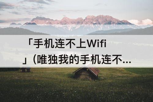 「手机连不上Wifi」(唯独我的手机连不上wifi)