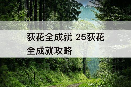 荻花全成就 25荻花全成就攻略