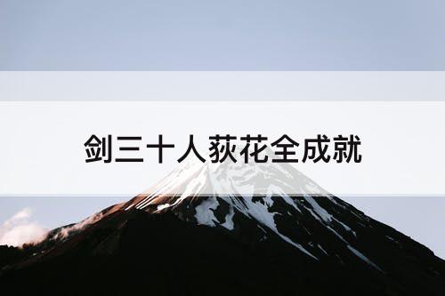 剑三十人荻花全成就