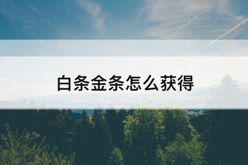白条金条怎么获得