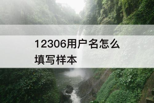 12306用户名怎么填写样本