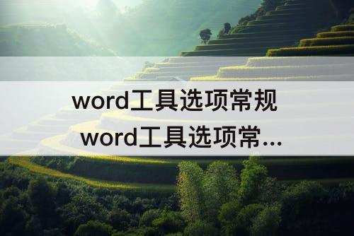 word工具选项常规 word工具选项常规在哪里