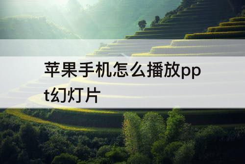苹果手机怎么播放ppt幻灯片