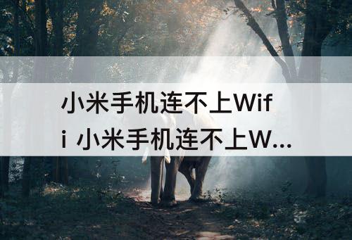 小米手机连不上Wifi 小米手机连不上WiFi是什么原因
