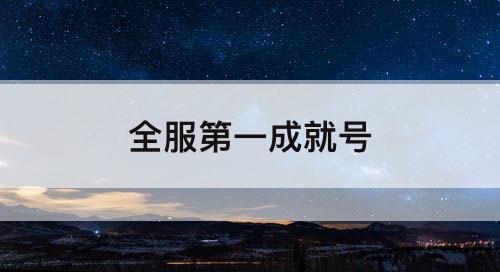 全服第一成就号