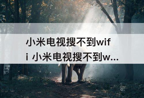 小米电视搜不到wifi 小米电视搜不到wifi5G