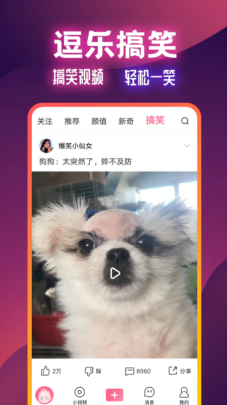 火苗视频免费版