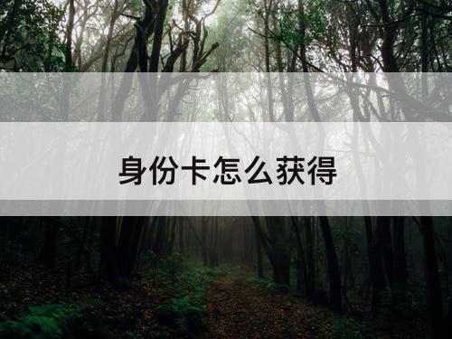 身份卡怎么获得