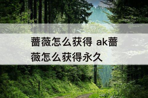 蔷薇怎么获得 ak蔷薇怎么获得永久
