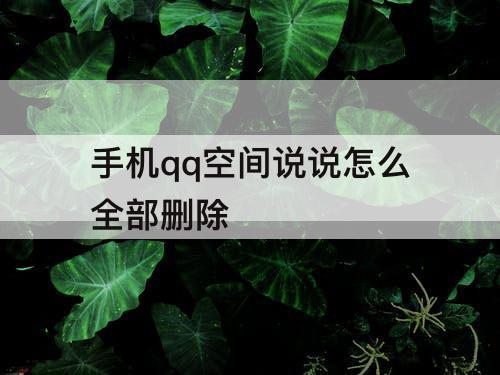 手机qq空间说说怎么全部删除