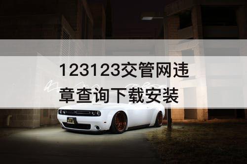 123123交管网违章查询下载安装