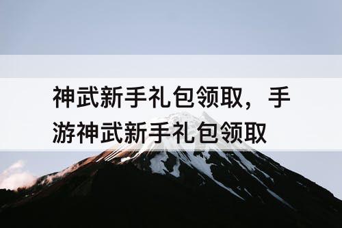 神武新手礼包领取，手游神武新手礼包领取