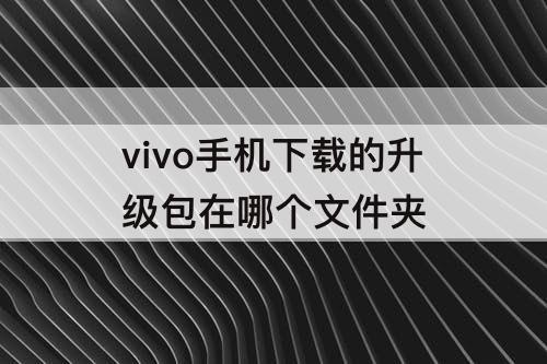 vivo手机下载的升级包在哪个文件夹
