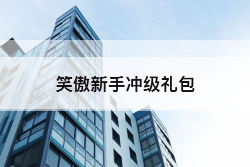 笑傲新手冲级礼包
