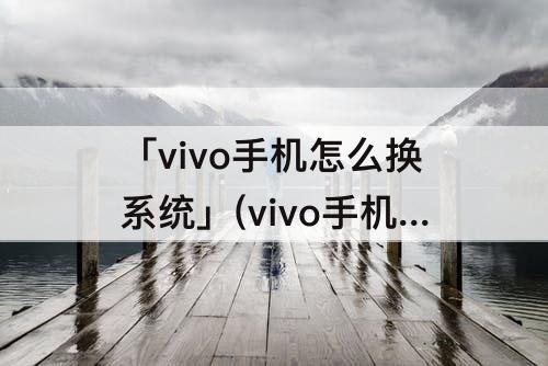「vivo手机怎么换系统」(vivo手机怎么换系统界面)