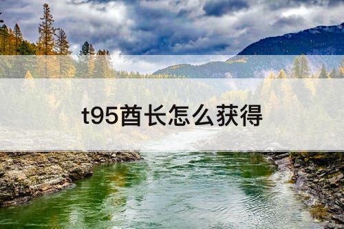 t95酋长怎么获得