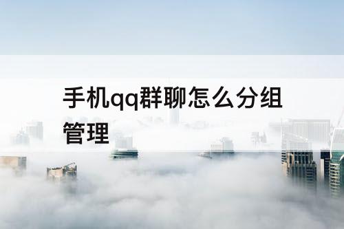 手机qq群聊怎么分组管理