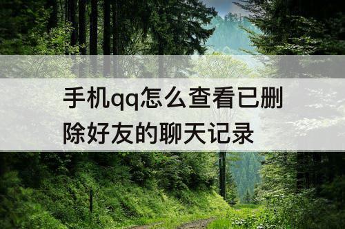 手机qq怎么查看已删除好友的聊天记录