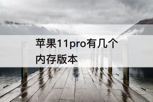 苹果11pro有几个内存版本