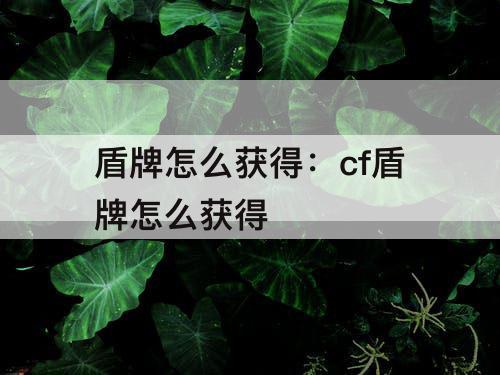 盾牌怎么获得：cf盾牌怎么获得