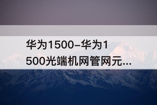 华为1500-华为1500光端机网管网元号